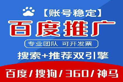 案例分享：SEM广告投放助力电商增长